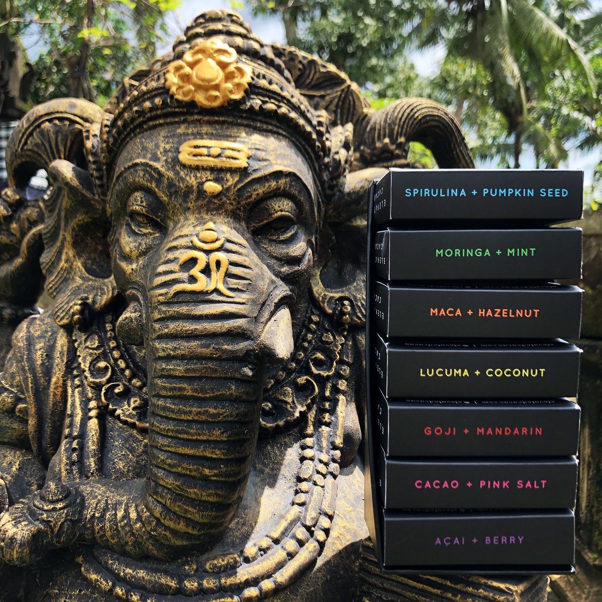 PaulHack71's tweet image. Check out my new venture @ElevatedCacao Please follow for my raw, vegan chocolate adventures in beautiful Bali ☀️🍫🍫☀️