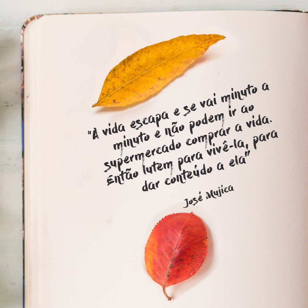 paolla's tweet image. Aproveite seu dia...