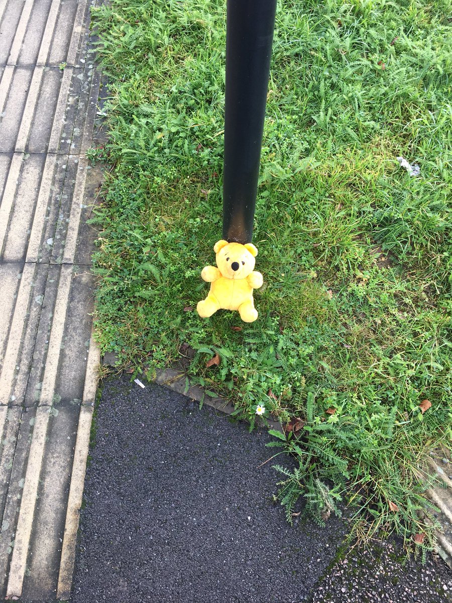 Hey @LonleyGlovesOx This lil’ bear needs some gloves and its owner! Near <a href="/LidlUK/">Lidl UK</a> #Oxford