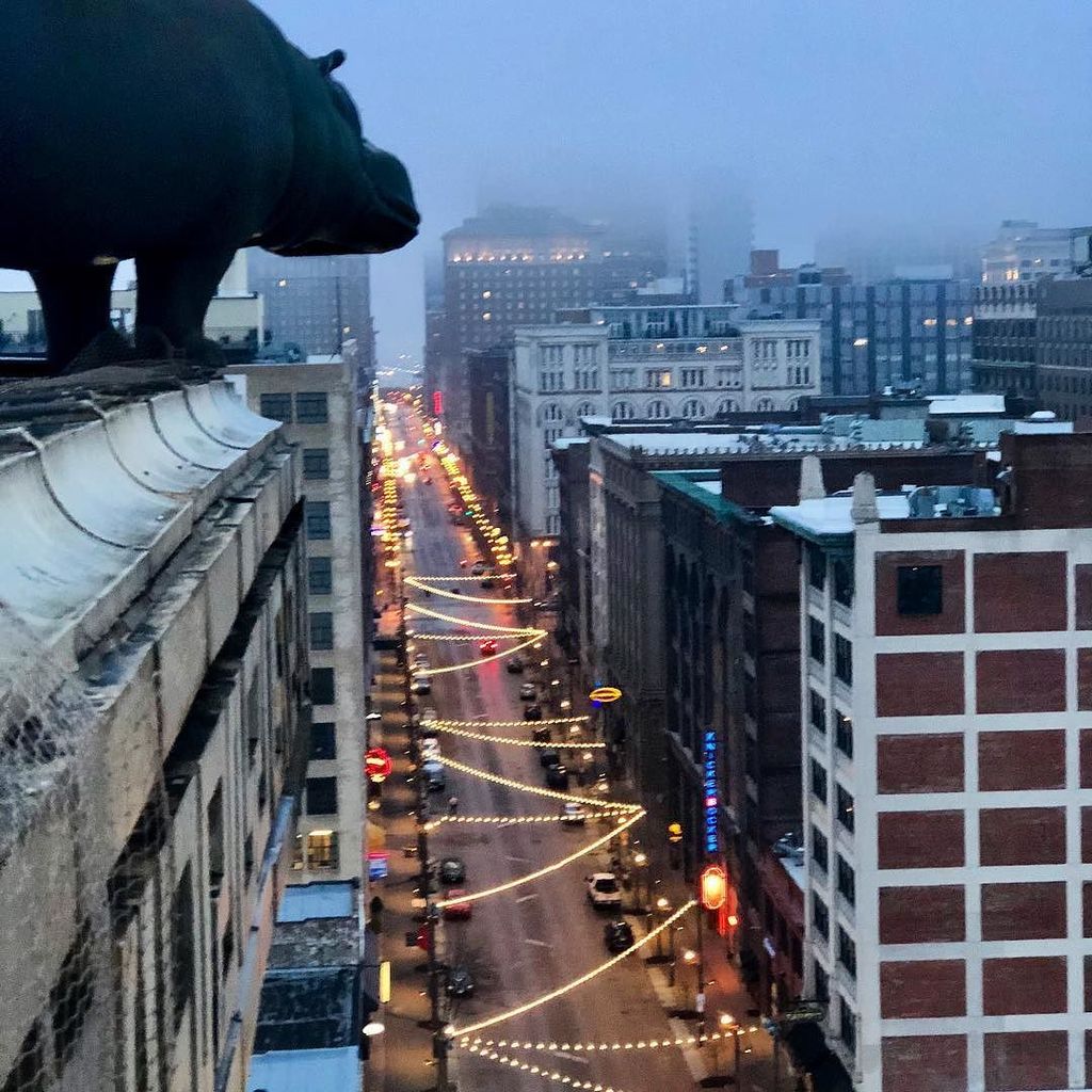Checking out Wash Ave and watching the fog with the hippo. #stlouis #washingtonave #hippo ift.tt/2CWoR3r