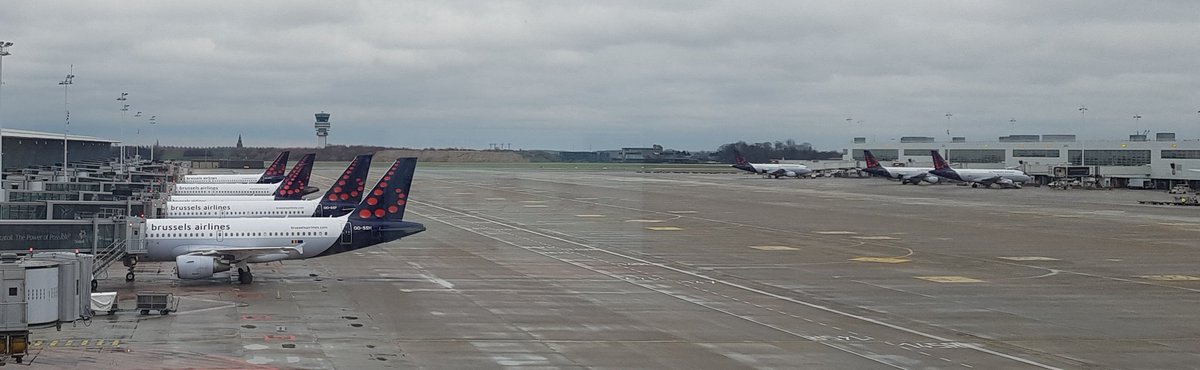 mijnegelke's tweet photo. Brussels Airlines strong presence @ Brussels Airport 😎 https://t.co/iqkcCGDVos