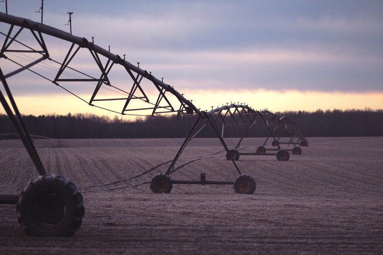 institutoethos's tweet photo. #EthosIntegridade Selo Agro + Integridade vai premiar conduta ética em outubro. As inscrições para obter o selo serão abertas a partir de 1º de fevereiro e encerradas em 31 de maio.

https://t.co/f1EjhaxvM3 https://t.co/Un63PXDhjC