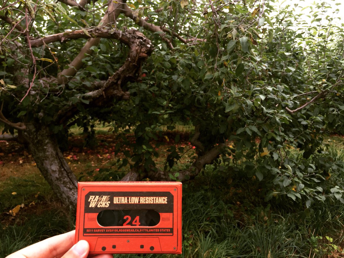 Flashwicks's tweet image. 