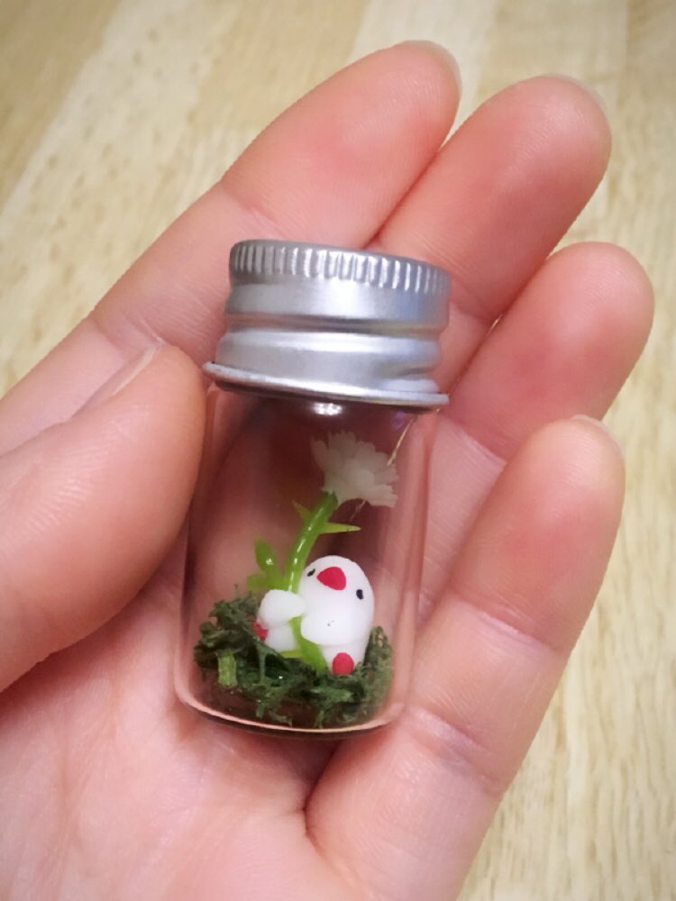 テラリウム、ミニバージョンも少しだけ…。机に飾ってください🌸
 #鳥フェス  #神戸  #鳥フェス神戸