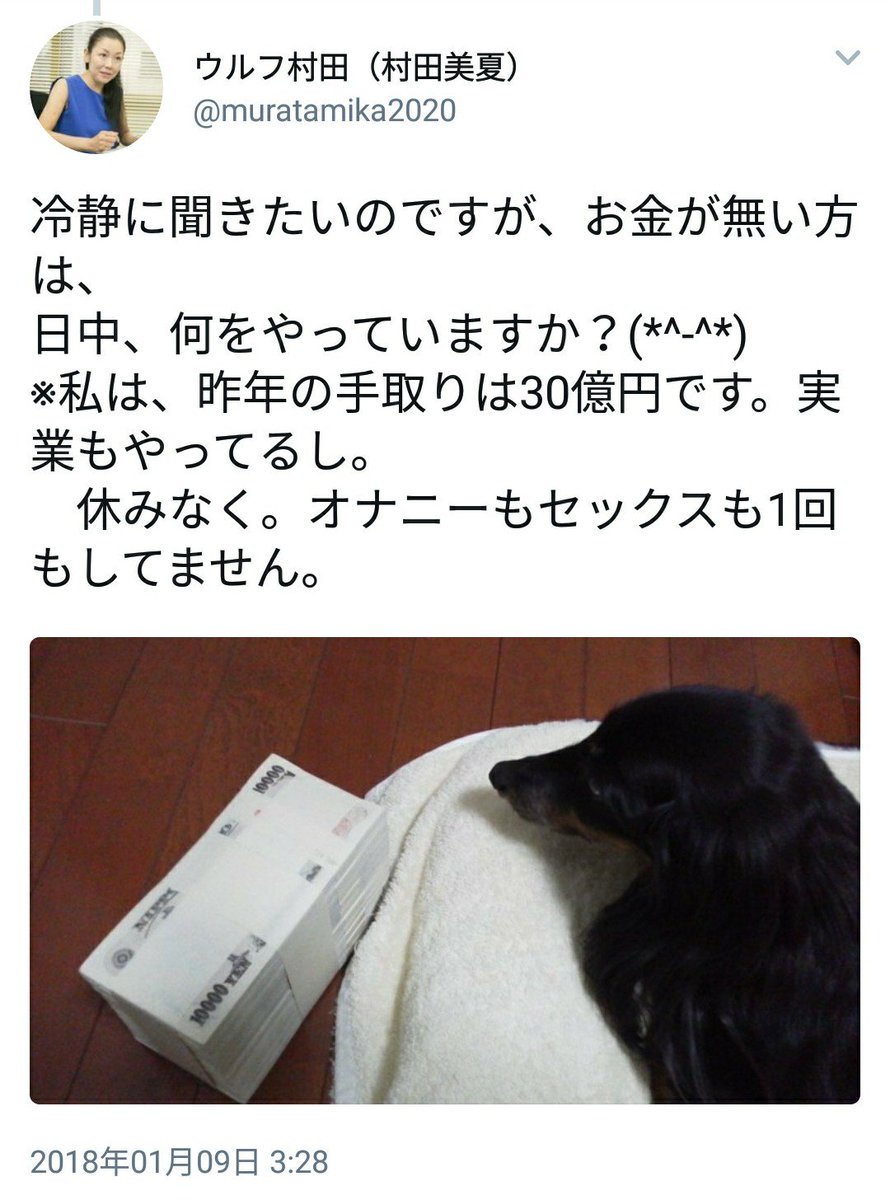 フィスコ『仮想通貨ヘッジファンド立ち上げるで！規模は目標10億円！』 ガクト『ヘッジファンドはSlave（奴隷）』 ウルフ村田『私の昨年の手取りは30億円です。オナニーもセックスも1回もしてません（←ここ必要か？』  ＿人人人人人人人人人人＿ ＞ もうやだこの業界 ...