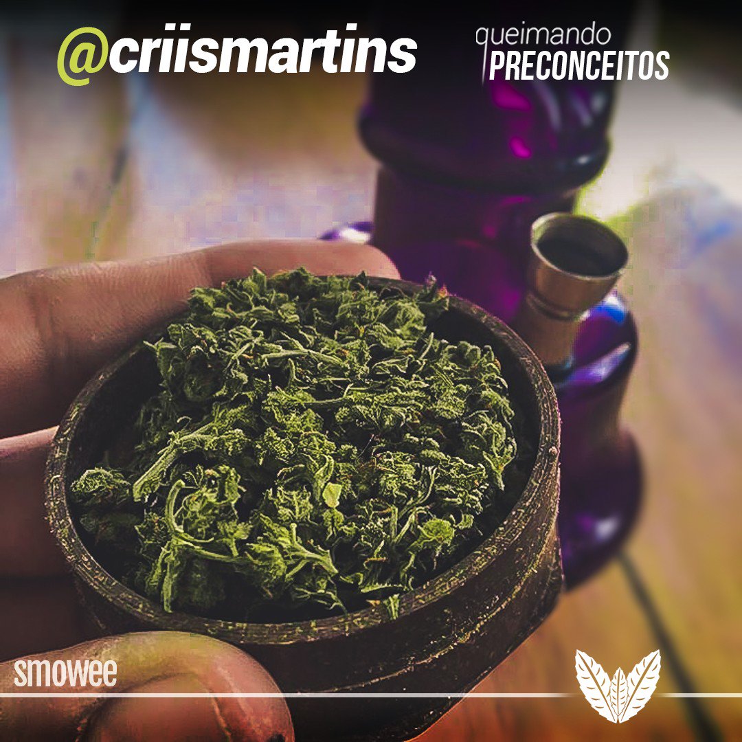 SmoweeOficial's tweet photo. Só a educação liberta! 👊✌️ https://t.co/yBZUCIgYB0 https://t.co/rXXVqpNZwj