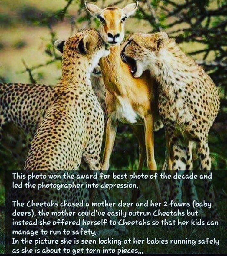 didiinkam's tweet photo. I will leave this here, so sad, yet so beautiful. #MomLife https://t.co/SHdG6lZuis