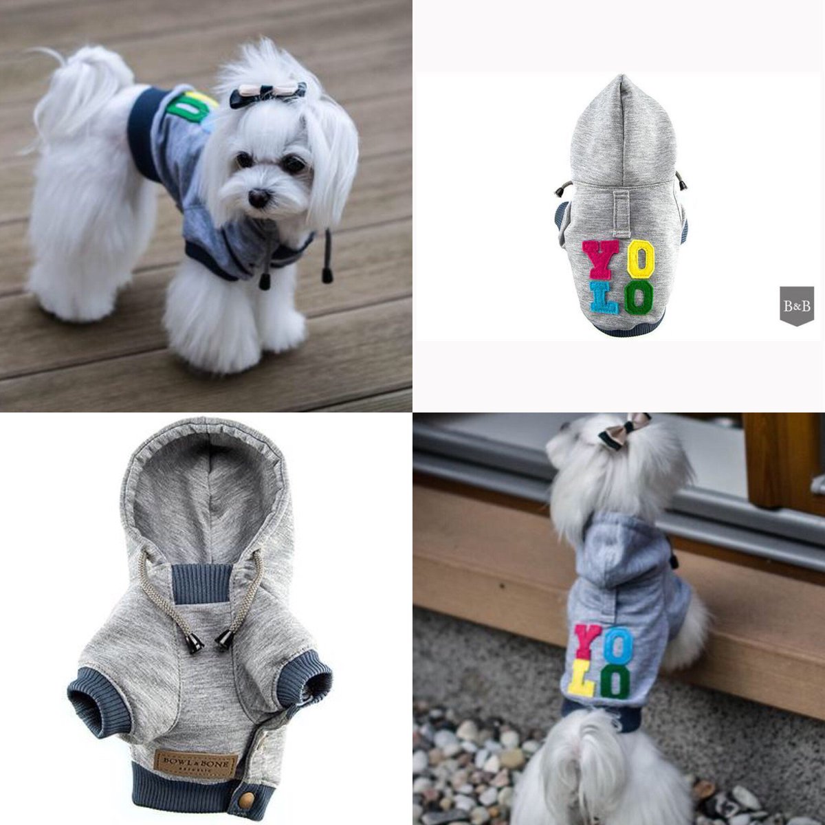 JollyBeas's tweet photo. YOLO! ! ๐ Love this motto on our super cool Grey Hoodies by Bowl & Bone! ๐ถ
Available at https://t.co/BFiMdBXCpn
#yolo #youonlyliveonce #mottooftheday #positivity #positivevibes #dogs #dog #streetstyledogs #cooldogs #greyhoody #ilovemydog #fashionfordogs #dogclothing https://t.co/UJNG9m0CXm