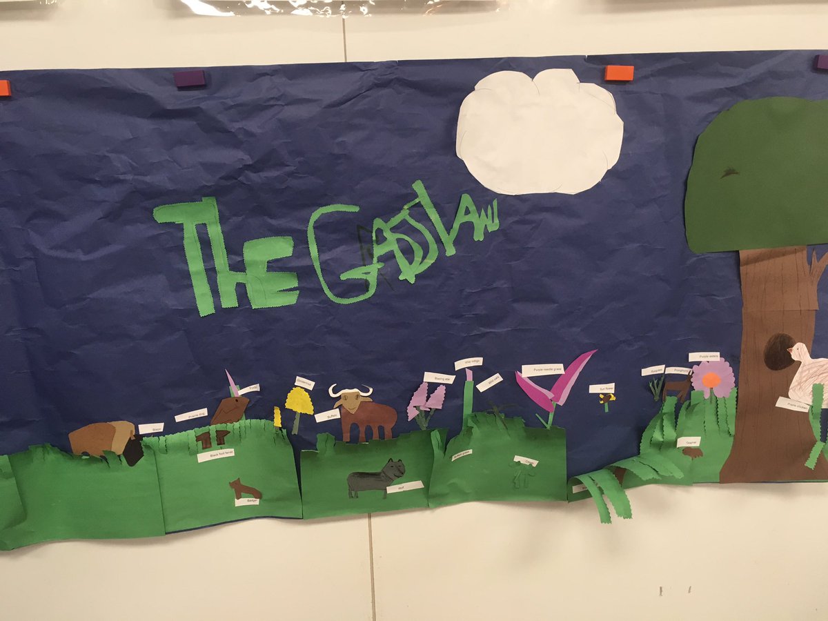 MsDevine111's tweet photo. Grassland group presentation! Well done! #heritagePBL https://t.co/7K5eCrnLFe