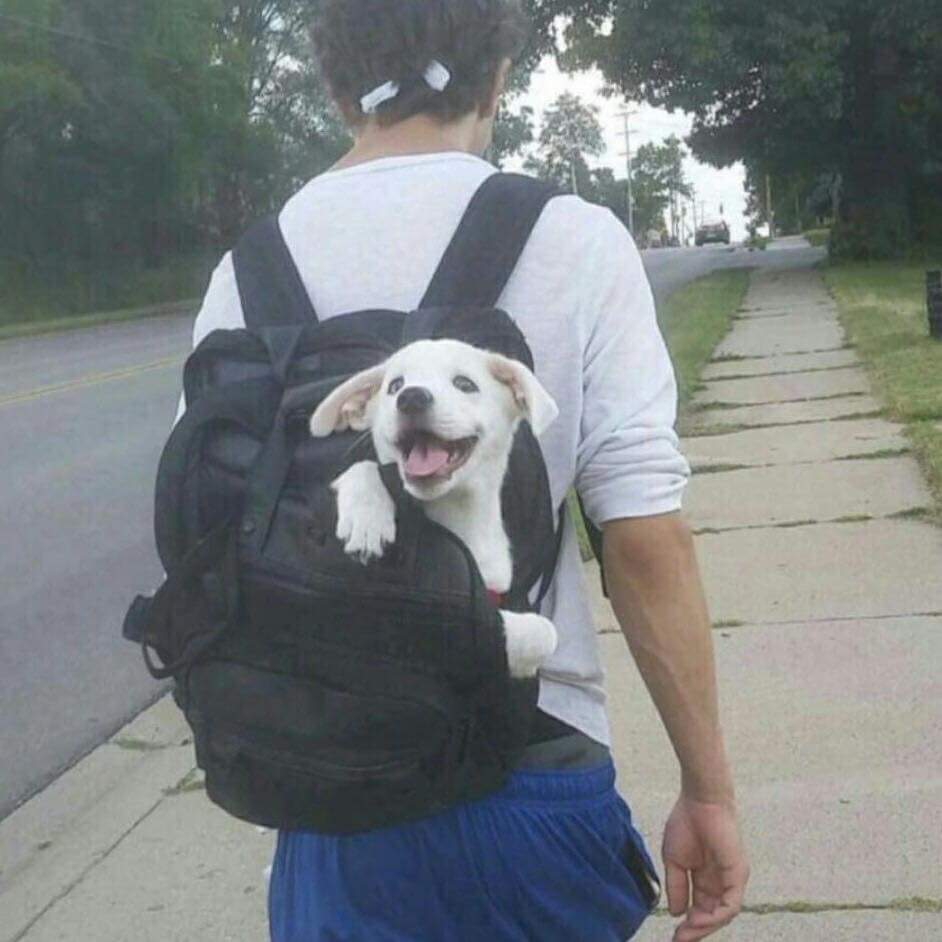 CatioroReflexiv's tweet image. "leve somente o essencial"