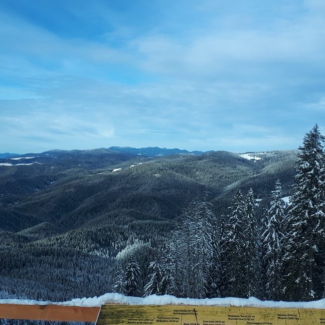 dakeraa's tweet image. 