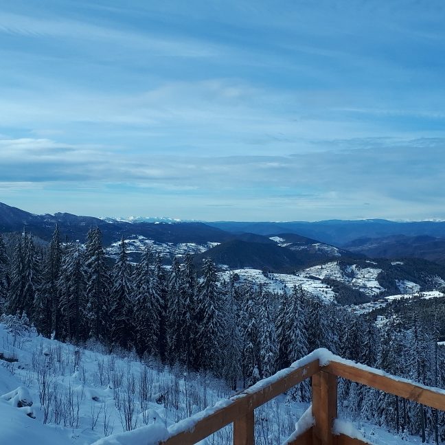 dakeraa's tweet image. 