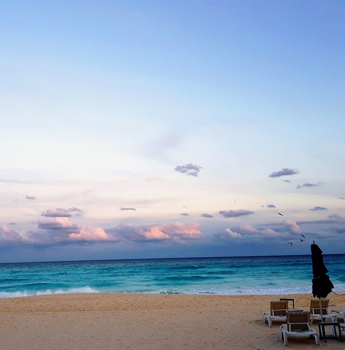 SecretsResorts's tweet photo. Turquoise waters and cotton candy skies. #SecretsTheVine https://t.co/PcNJHpX6M9 https://t.co/ESZP9iOcfF