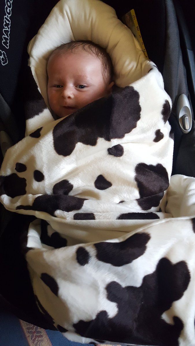 All wrapped up and ready to brave the cold with <a href="/Morrck/">morrck.com</a> car seat blanket #farmlife #teamdairy #farmersson