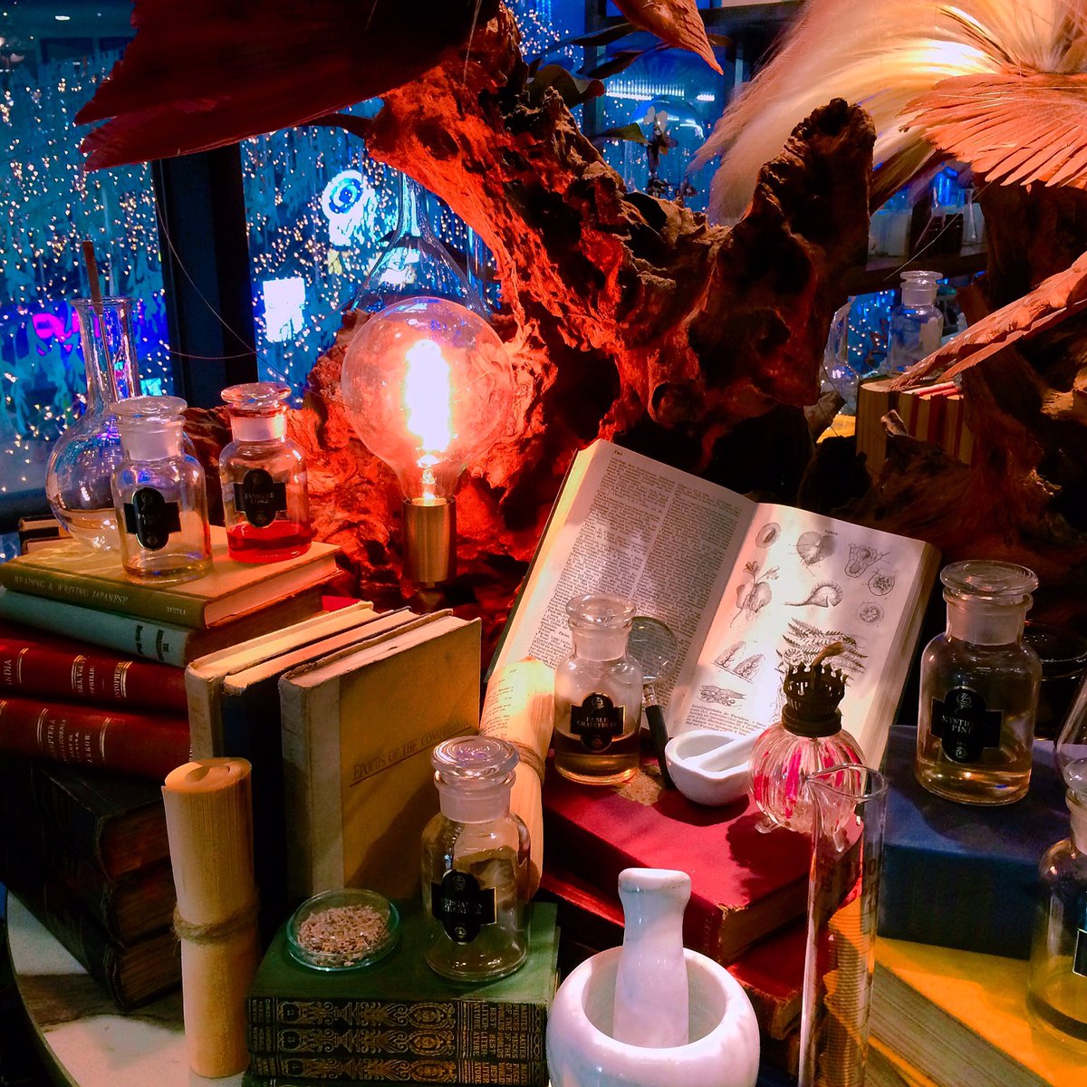 Noelarts666's tweet photo. Like a wonder land photo by me #noelarts #art #artist #photograph #photo #photographer #displaywindows #fashion #boutique https://t.co/1JoOPsvkvy