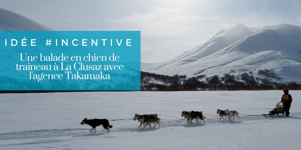 Bedouk's tweet photo. [Idée #incentive] Vivez un moment d'émotion avec une balade en chien de traineau à La Clusaz, avec l'agence Takamaka #bedouk #incentive #bleasure #montagne https://t.co/H7oAxGYpnM https://t.co/UDIhMgtGGL