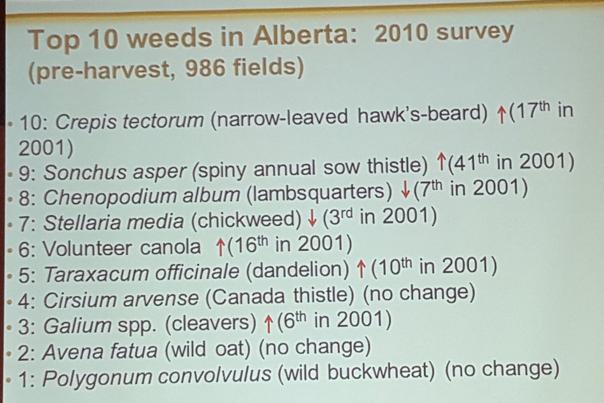 SVFltd's tweet photo. Top Ten Weeds in Alberta. Identify what is the major Weeds in your field? @ACPC_Reg5 @WinFieldCanada #agronomyupdate18 #WestCdnAg #plant18 https://t.co/fiOlVPSeY7