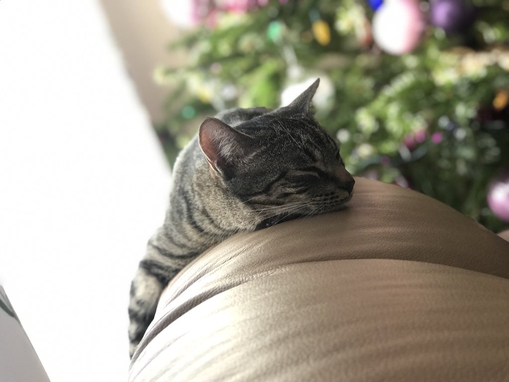 elwookiee's tweet photo. @RacingResults3 @WilliamsdbF1 @andrewbensonf1 Guys please stop…

Everyone is tired and it’s @williamsf1 fault. ;-)

Keep Calm and #SupportWilliams #SupportKubica #SupportSirotkin #SupportF1 #SupportSport #SupportFriendship #SupportSupport
#F1 #F1PL https://t.co/izao5pQCTF