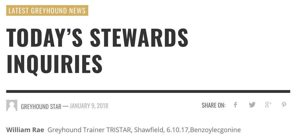 PetLevrieri's tweet photo. ⚠#BreakingNews #Scotland
🔴🔴#AnimalAbuse ➡#Doping 🔴
One #Greyhound was found positive to #Cocaine at #Shawfield #DogTrack
❕How could #GreyhoundRacing still have a social licence❓
➡ @UKGovScotland 🆘
#Time2Ban
#Time2Stop by law any new track
🚫#SayNoToWallyford dogtrack https://t.co/aNiCG82WG0