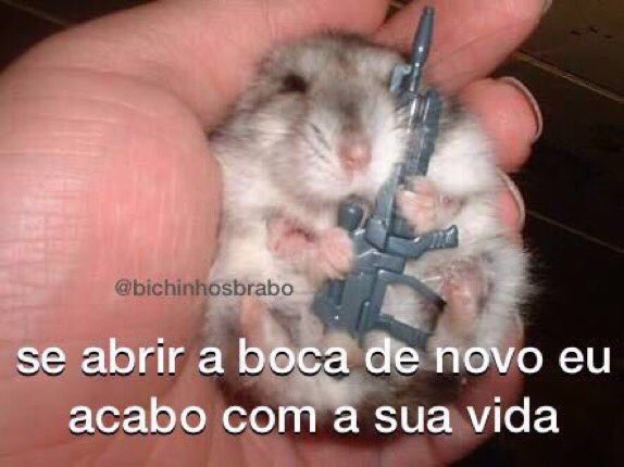 jaslixo's tweet photo. @luamsria nem vou falar nada garota https://t.co/9l5SKN4ka1