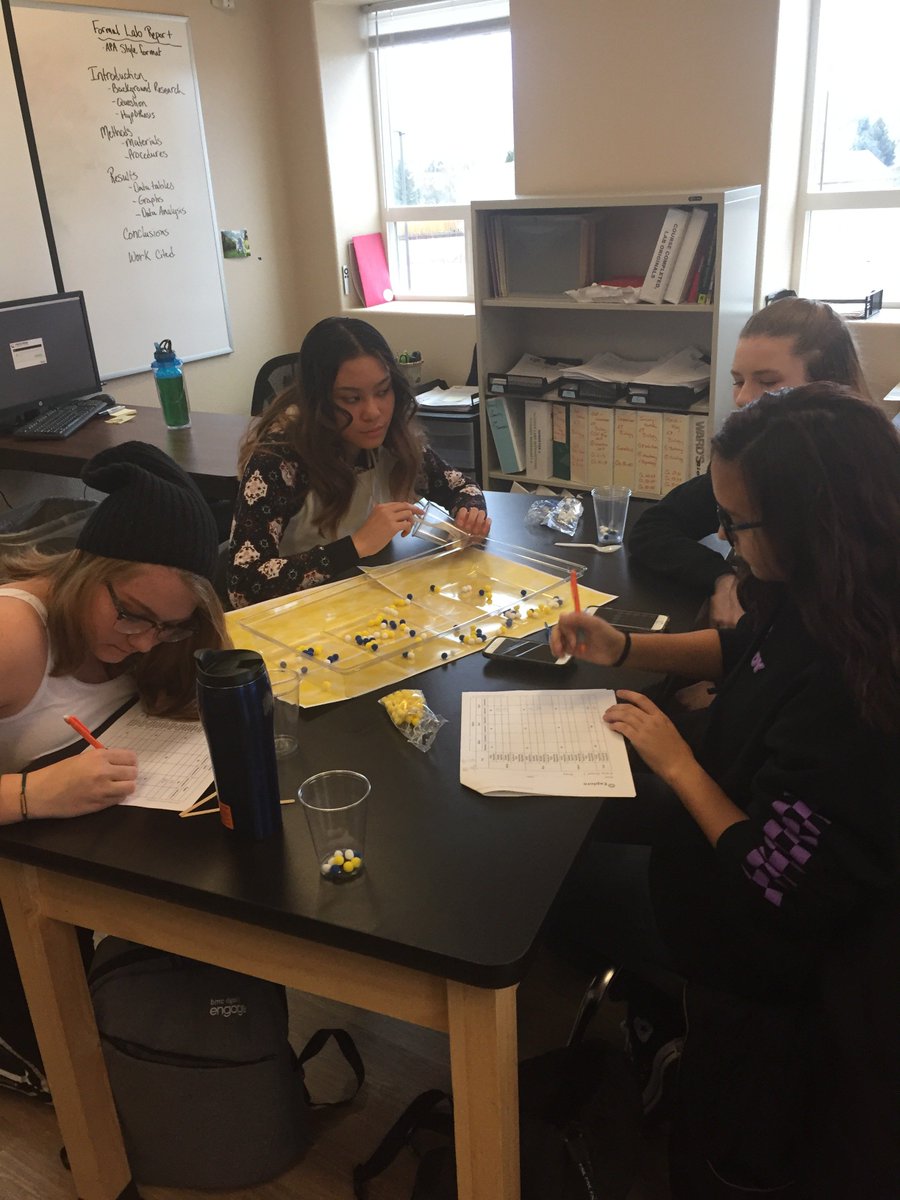 julibutterworth's tweet photo. #PPECBiology is simulating Darwin's Theory of Evolution. #Competition #Survivalofthefittest @PPEC49 https://t.co/tkc6jjcYGe