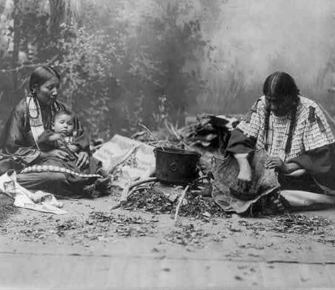 Bug_Education's tweet photo. #Pemmican: The word comes from the Cree word pimîhkân, &amp; was invented by native peoples of North America. It was widely adopted as a high-energy food by Europeans in the fur trade and then explorers; North Pole explorer Robert Peary used pemmican on all three of his expeditions. https://t.co/32FgVByq75