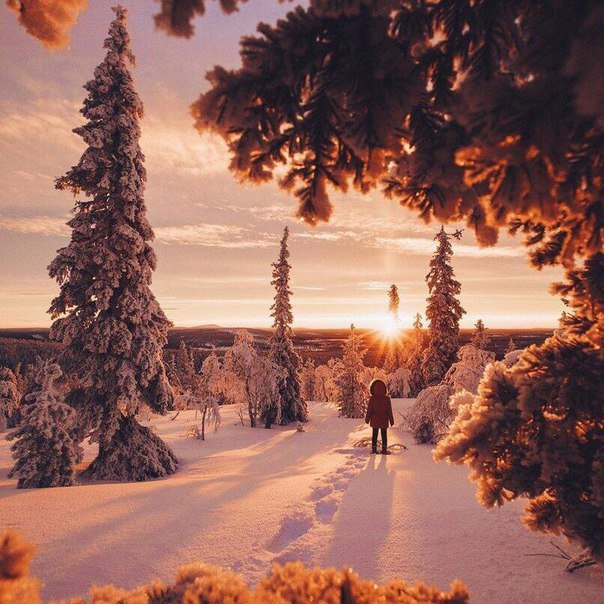 Alenka18018's tweet photo. На закате в Финляндии https://t.co/v0MjNLUjK8