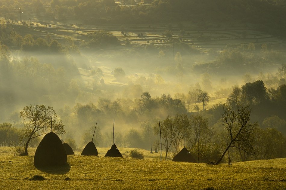 🌏 A piece of #Serenity in #Maramures, #Romania. 📷 Vlad Dumitrescu. #ecoRomania  #ecomaramures #slowtravel #traditionallifestyle