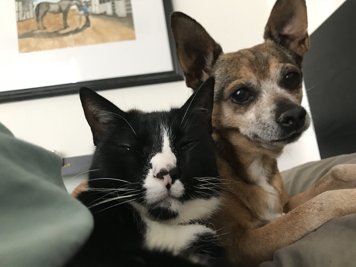 Reunited and it feels so...