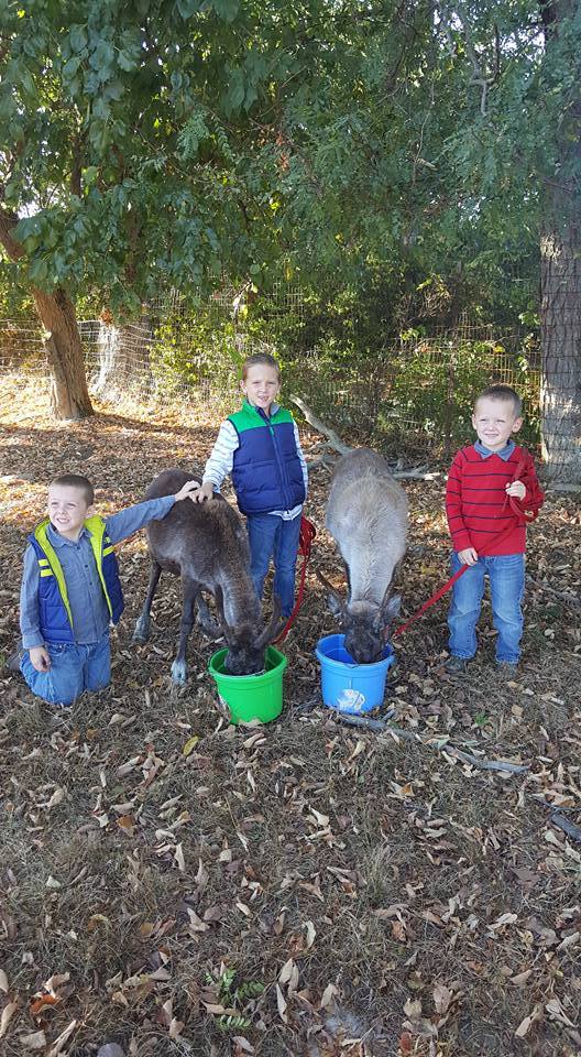 Whitetail Acres tweet media