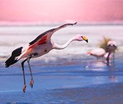 I've just completed the puzzle with 154 pieces without rotation in Puzzle Plus HD app itunes.apple.com/us/app/puzzle-… #PuzzlePlus