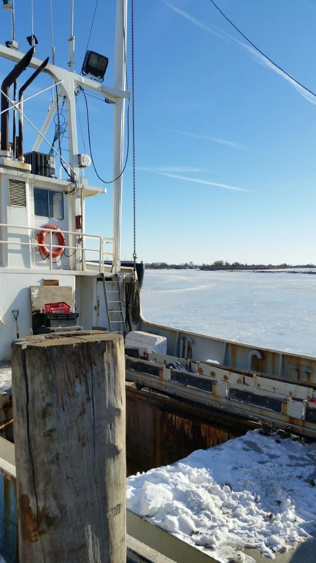 SeaWatchSeafood's tweet photo. Ice Breakers - January 8, 2018: NJ boats leaving the dock after 3 weeks foul weather and a Bomb Cyclone. #eastcoast #newjersey #bombcyclone #clamming #fishing #commercialfishing #fisherman #boats #dock #frozen #seawatchint #seawatchinternational https://t.co/hzQVvwGSV4