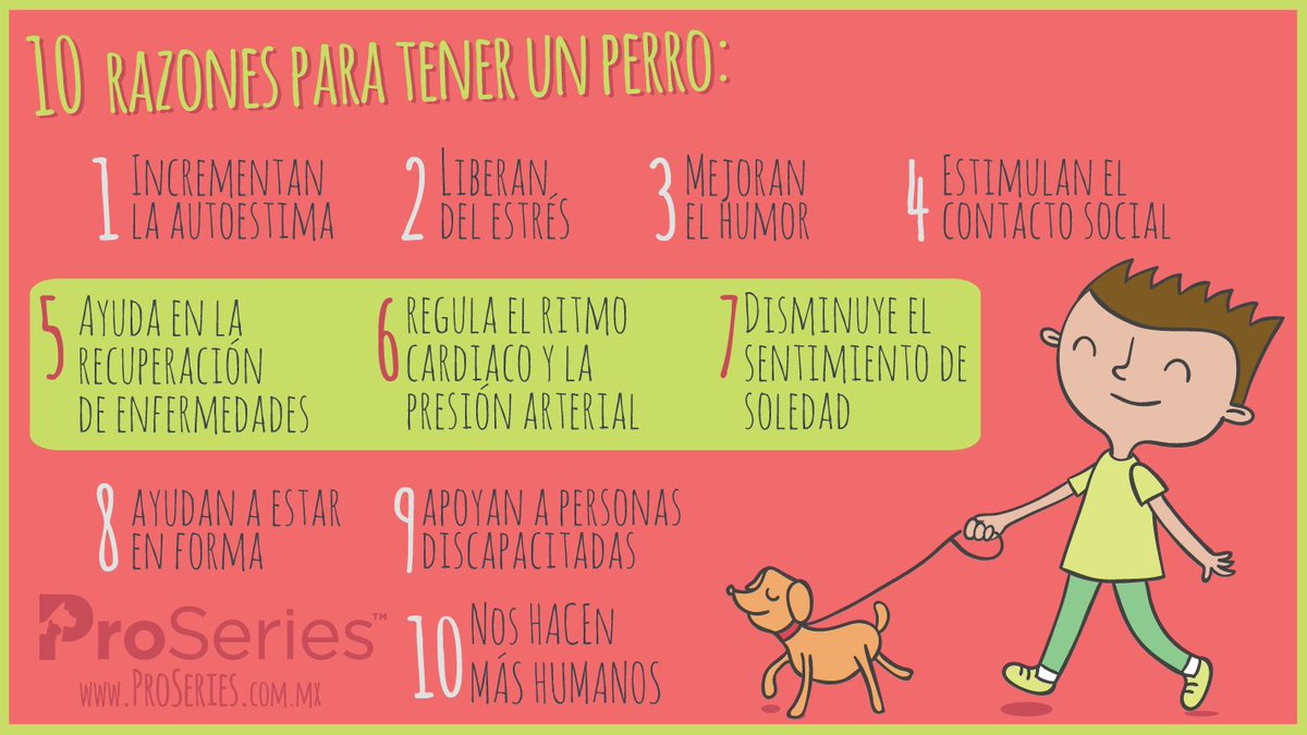 ProSeriesMexico's tweet photo. ¡Alegran tu vida! 😬🐶 https://t.co/zsO24IJEvR