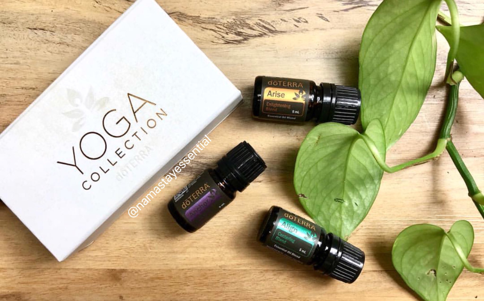 Герань дотерра. Yoga collection ДОТЕРРА. Йога набор DOTERRA. Набор йога коллекция ДОТЕРРА. Cheer ДОТЕРРА.