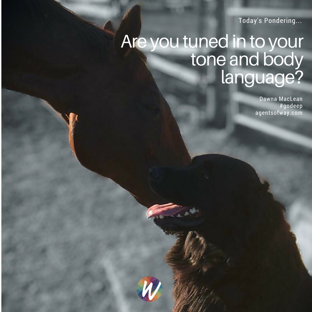 dawnamaclean's tweet photo. When sending a message we tend to focus on our words but very few have the self awareness of their tone and body language. As receivers most of us have a heightened sensitivity to all three. This is an innate skill for animals but not so much for us humans. #godeep #EQ https://t.co/i7VwuLBBds