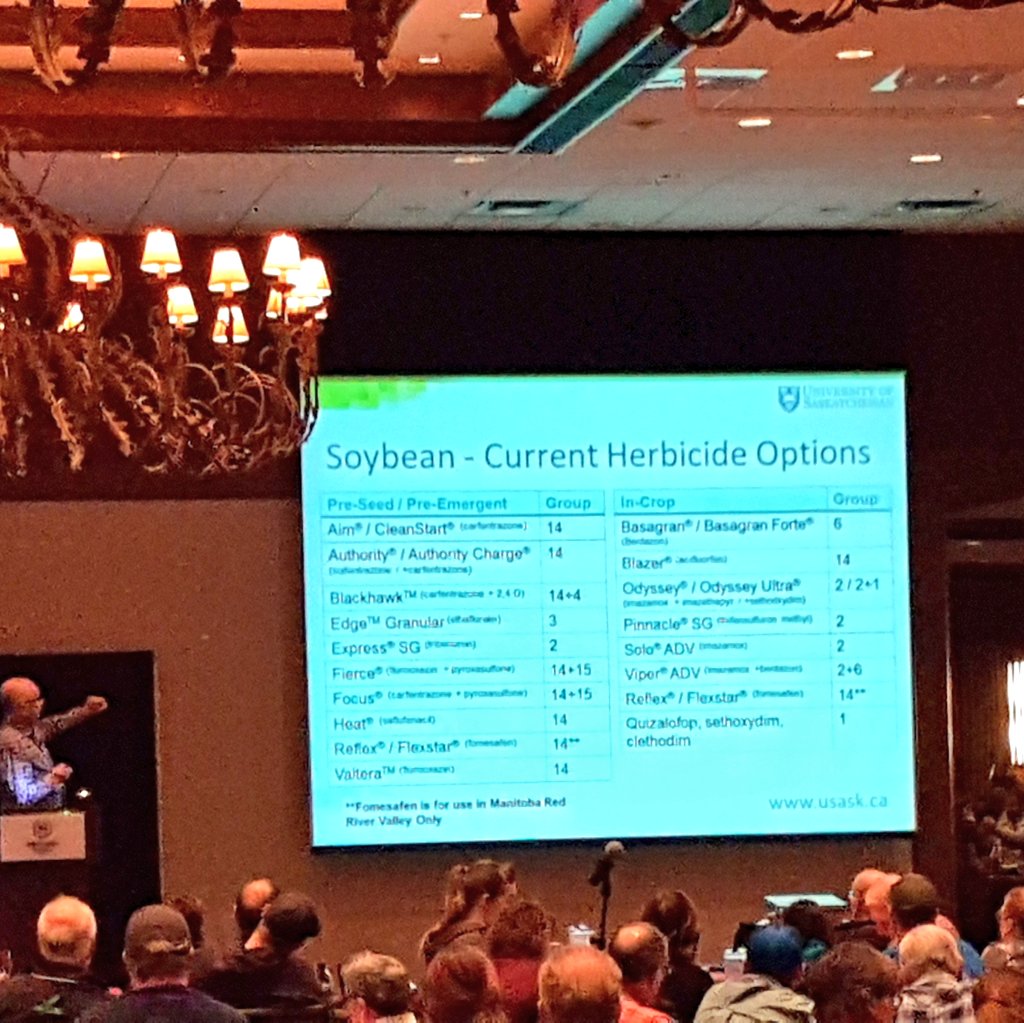 nozzle_guy's tweet photo. Current #soybean herbicide options in #westcdnag, not counting #dicamba, by @ericusaskweeds at #AgronomyUpdate18 https://t.co/rZrK6K0UFt