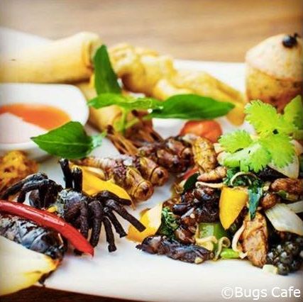 AsianTrailsLtd's tweet photo. Looks like a familiar dish? Guess not, and that is the beauty of #BugsCafe, a #SiemReap eatery serving your some of the most delectable local dishes…with a twist. https://t.co/JkN0KN8ytk #CulinaryTrails https://t.co/QFouB0x1zf