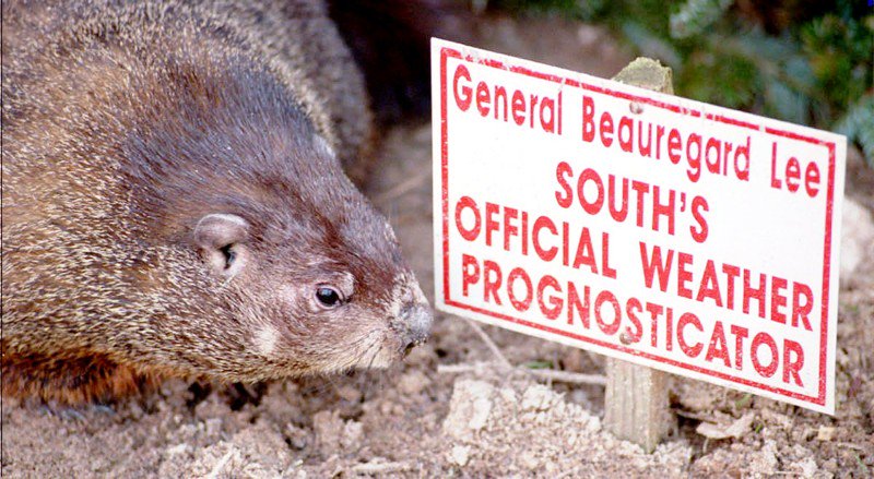 Gwinnett's famous groundhog finds new home in time for Groundhog Day on-ajc.com/2mmIg3W