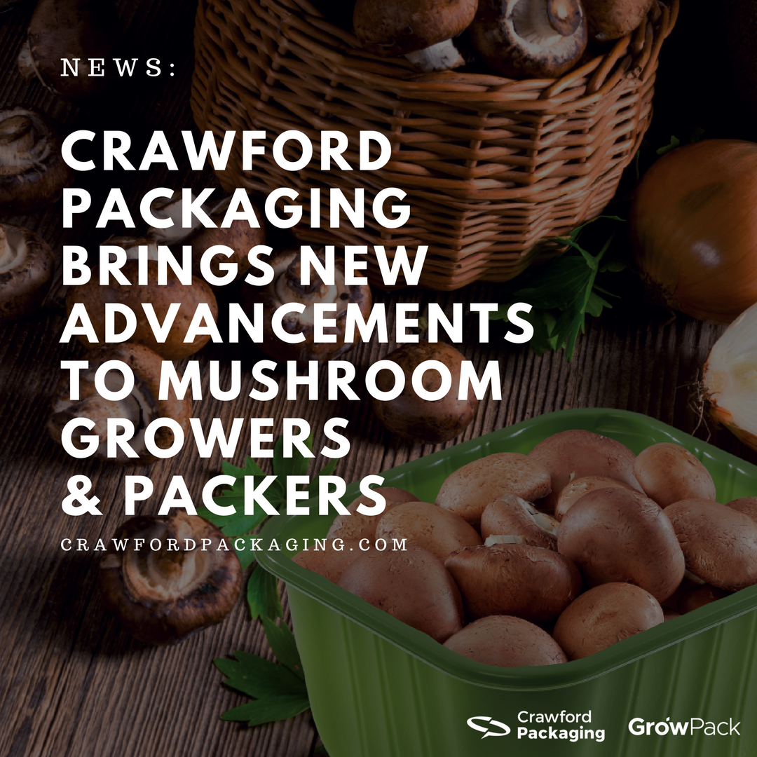 crawfordpkging's tweet photo. #NEWS: These new GrowPack™ trays and punnets are specifically designed for packaging #mushrooms – perfect for #Overwrap, #TopSeal or #FlowWrap #packaging! https://t.co/ezOabhgnEE https://t.co/MosVexDUu1