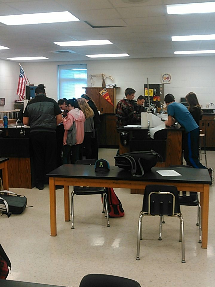 currandhs's tweet photo. Students learning 3 dimensionality through compound microscope. #Curransclass https://t.co/8YTLemOFrz