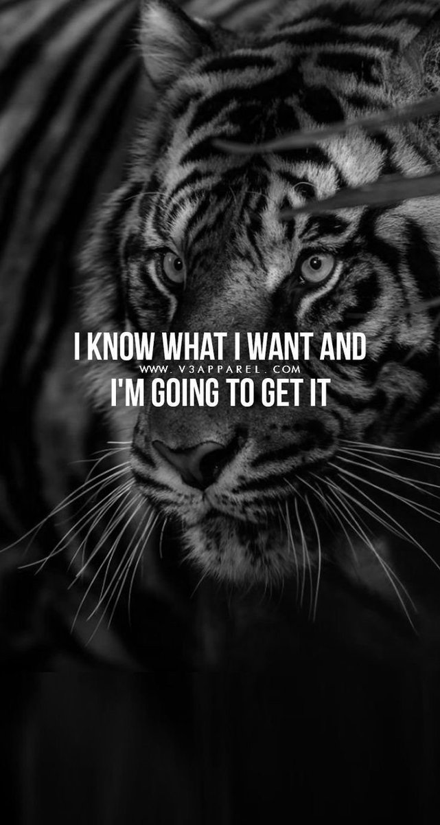 v3apparel's tweet photo. Free 📱wallpaper at
https://t.co/1n8NkeQ2Yt #WednesdayWisdom #Fitfam https://t.co/ERIAeelMfB