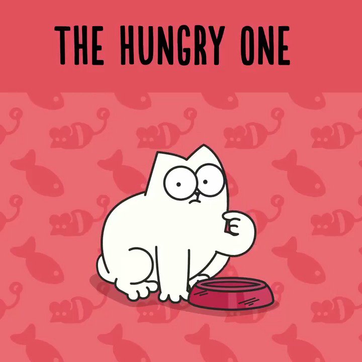 Simon's Cat on Twitter: "What's your kitty's eating habit? 😋 Play 'Simon's Cat - Crunch for FREE https://t.co/lUTdRoODcg https://t.co/RAhKblVFNd" / Twitter
