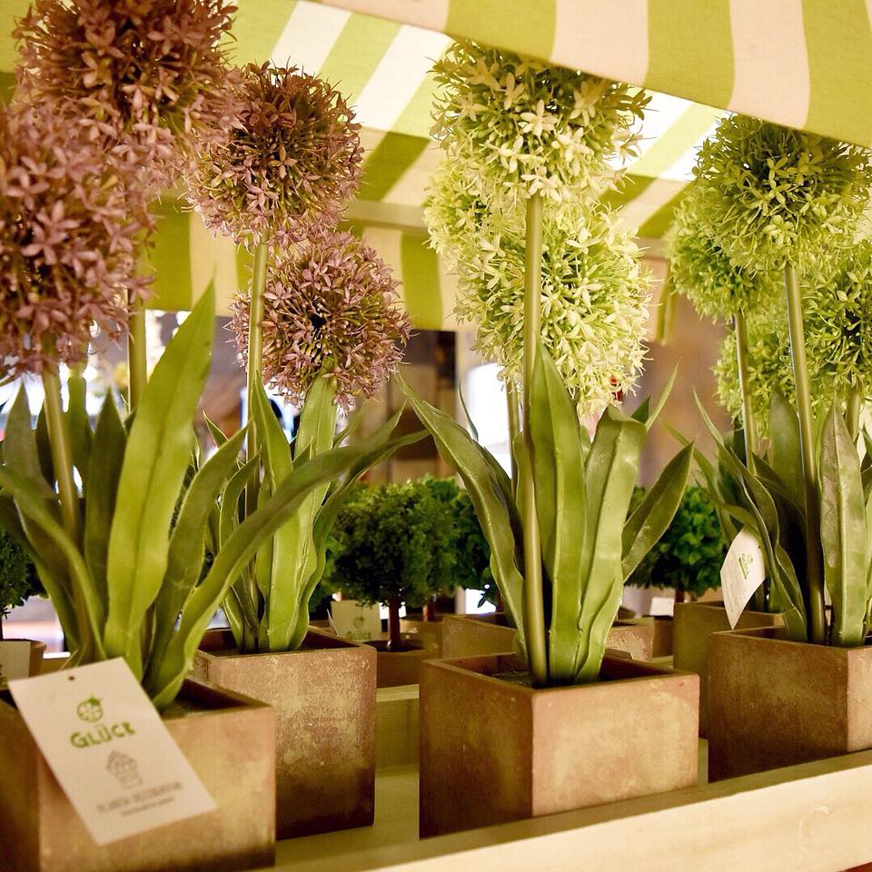 AlparamisOK's tweet photo. #BuenMiércoles, un día silvestre por acá 🌿🌳 Elegí tus preferidas 🌸🌷 #Alparamis #HAUS https://t.co/vjF9yQ4khE