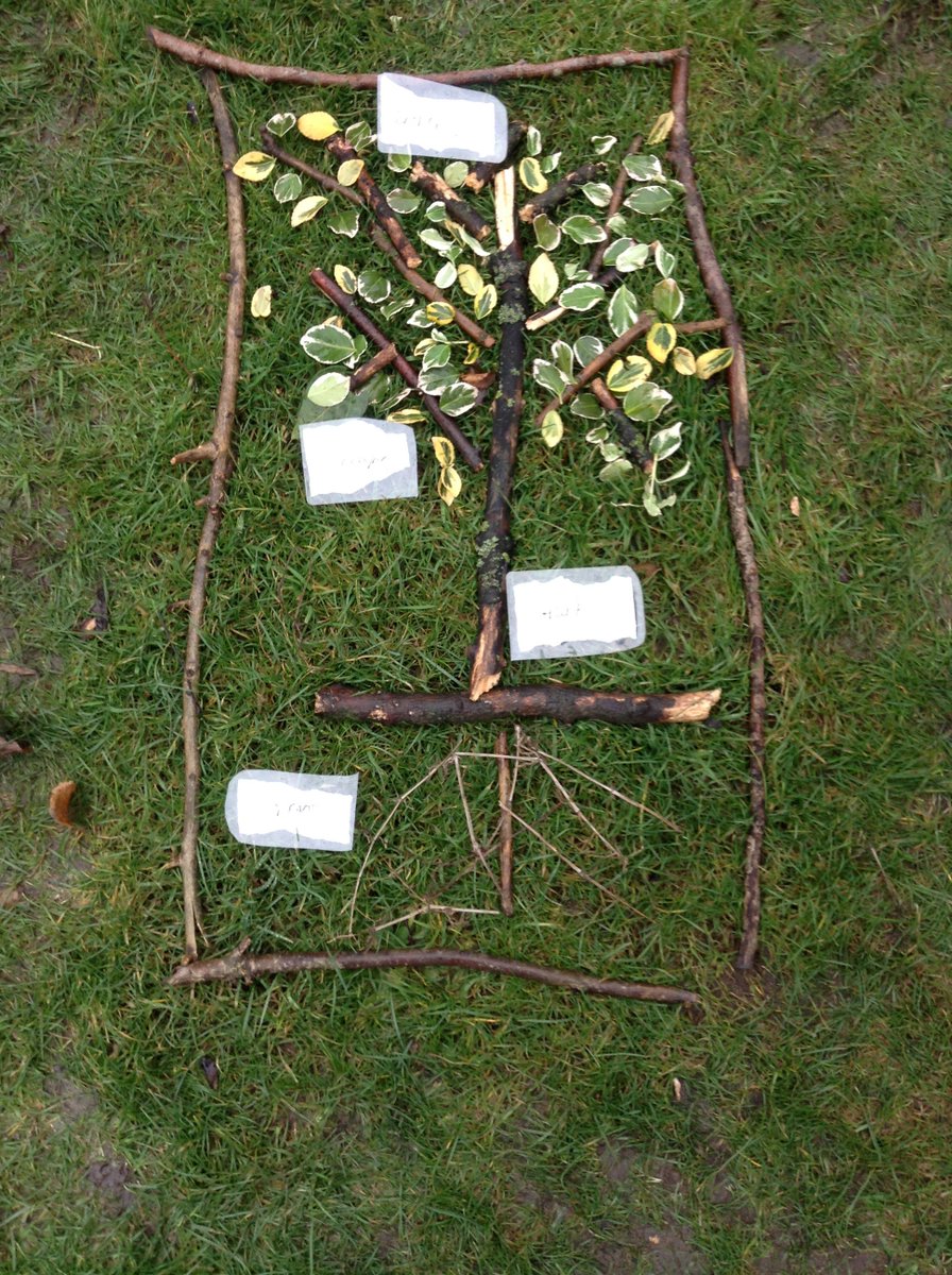 Year3CLS_CE's tweet photo. Great work today learning all about plants and what they need to be able to grow with @ScoutedSam https://t.co/DgdGeZB71g
