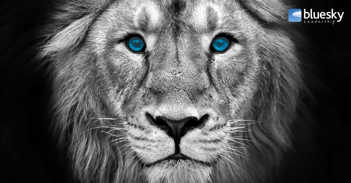 In times of chaos, people will look to a leader. Having the ability to be an Adaptive Thinker will always be an advantage.
Do u measure  2 these 3 qualities?
1.Adaptive Thinkers show impulse control.
2.Adaptive Thinkers leave the ego at the door.
3.Adaptive Thinkers are curious.