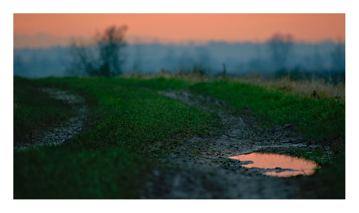 Every puddle, however muddy, has potential for reflections. I missed sunset tonight, this is just the afterglow, from a Leicestershire field.