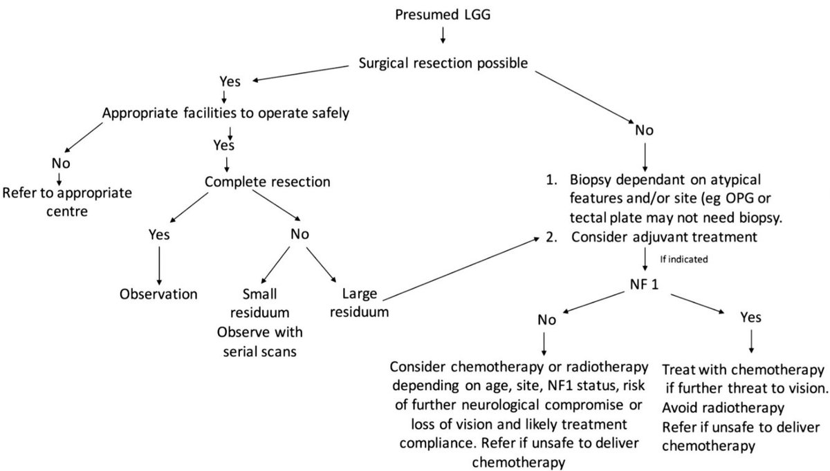 DeniseSheer's tweet image. Treatment guidelines for low grade gliomas in low and middle income settings. #braintumours bit.ly/PODCpLGG