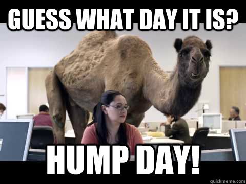 ZephyrBrewing's tweet photo. HAPPY HUMP DAY!! 

Grab a pint and beat this gloomy weather!
The taproom will be open from 3-7 today. 
Cheers! https://t.co/a6a2LCNQPc