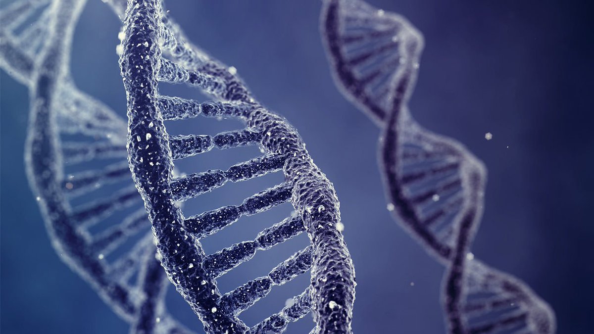 ForensicsandDNA's tweet photo. Let's start off with what it is! DNA is short for Deoxyribonucleic Acid! It is a molecule that contains each and every person’s unique genetic code. Makes us who we are! We have different colored hair and different skin tone because of DNA! Below is how it looks like! https://t.co/BJ9fDr7k2n