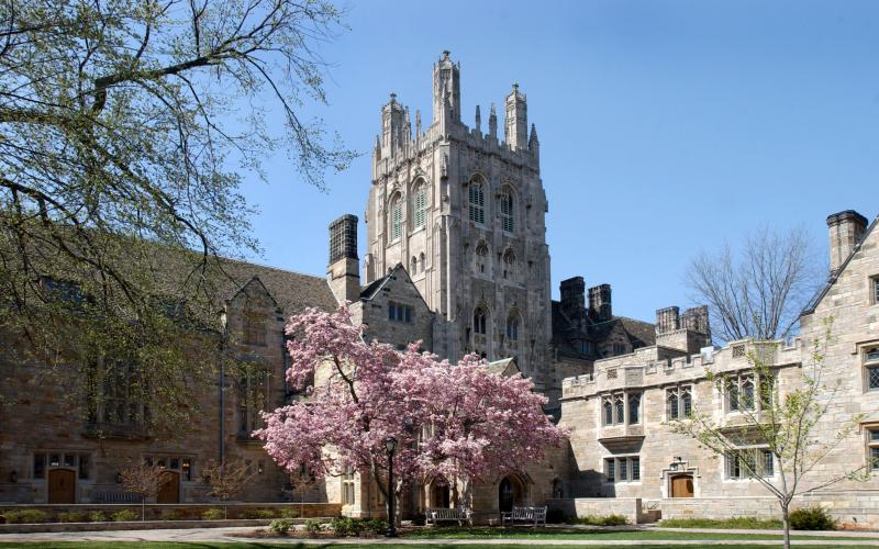 cre8ct's tweet photo. Seek more from the minds of those before you #ctcre8 #marktwainhome #yale https://t.co/zSU2pbcjrY